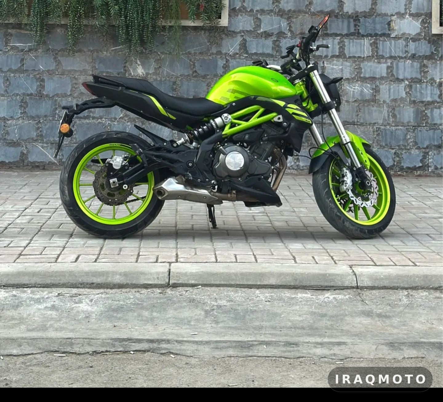 بينيلي 302 إس 2022