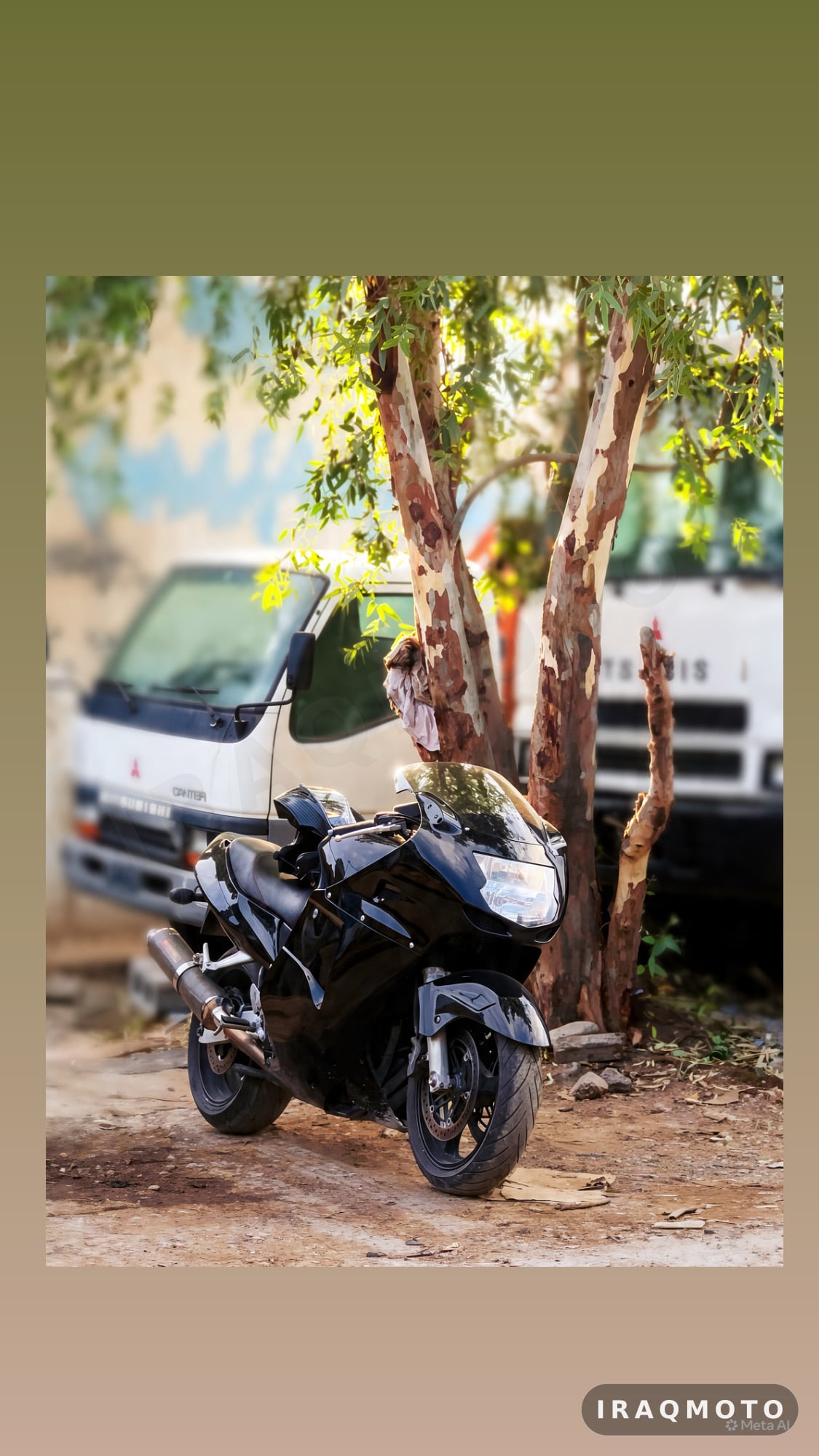 Honda CBR 1100XX Blackbird 2001
