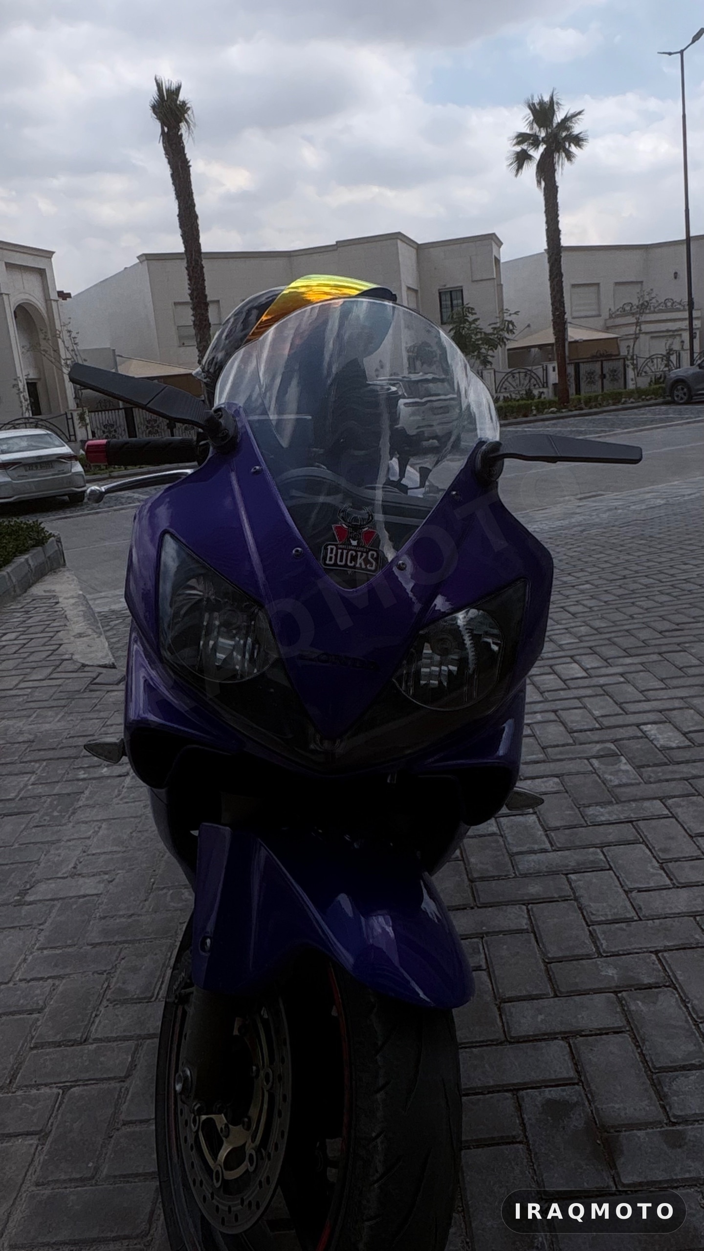 Honda CBR 600 F4I 2006 5