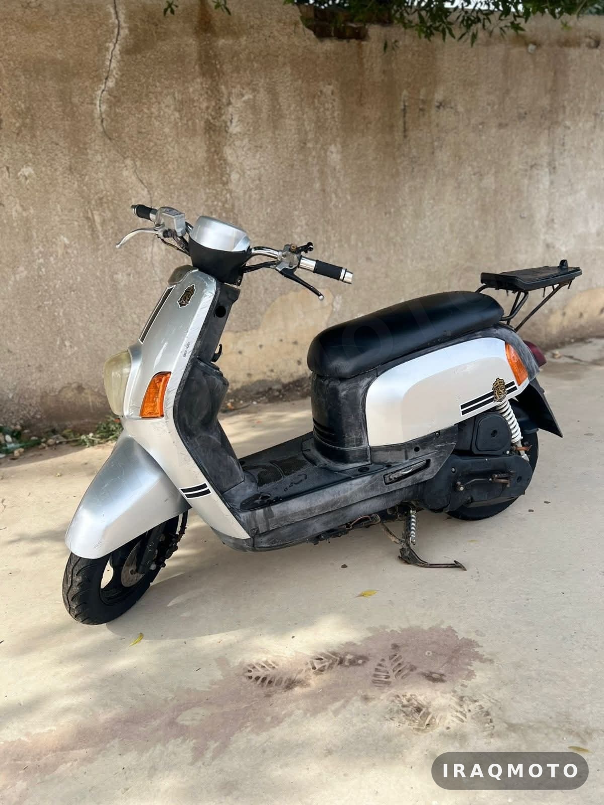 ماكس بوليس 2007 2007 1
